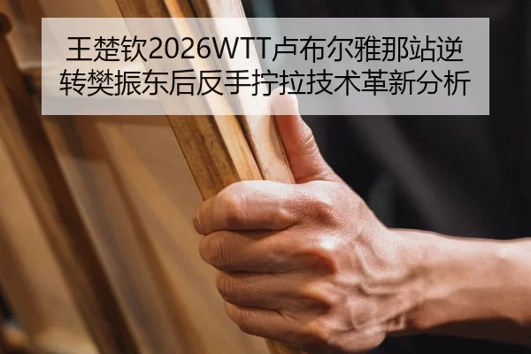 wang-chu-qin-lu-bu-er-ya-na-zhan-ni-zhuan-fan-zhen-dong-hou-fan-shou-ning-la-ji-shu-ge-xin-fen-xi-2-772.jpg